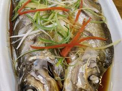 -老味道1992(武当山店)