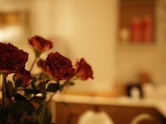 -Cafe on warm(丹霞店)