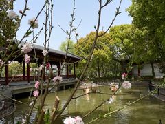 -南汇桃花村