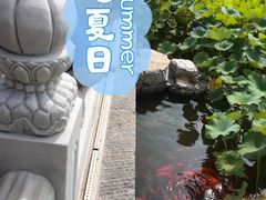 -西海子公园