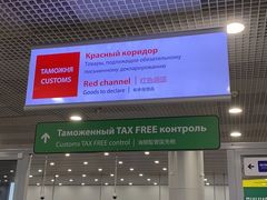 -谢列梅捷沃国际机场