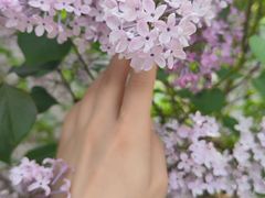 -雍和宫