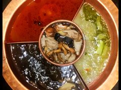 菌王奇香锅-滇釜火锅·能喝汤的火锅(车公庄店)