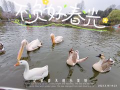 -西安秦岭野生动物园