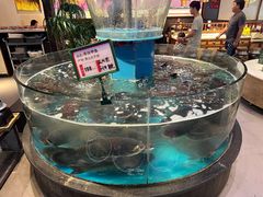 大堂-魏铭鱼头捞饭(晋阳路店)