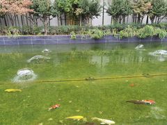 -长沙简牍博物馆