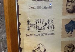 -探洞工场(丰科万达旗舰店)