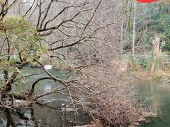 -阿哈湖国家湿地公园