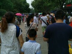 -野生动物园-停车场