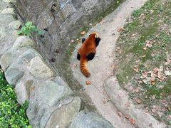 -上海野生动物园