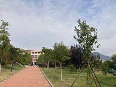 -山东外贸职业学院