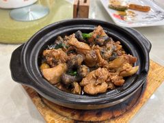 -大湾区鑫南酒家·粤菜(黄岐店)