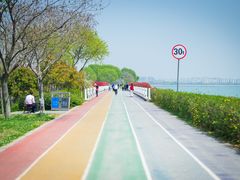 -贡湖湾湿地公园