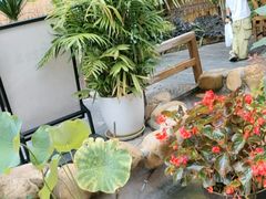 -后湖小院·乡野田园菜