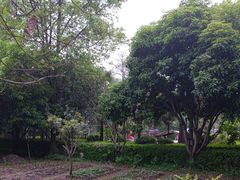 -故乡缘·香格里拉山庄(冷竹路店)