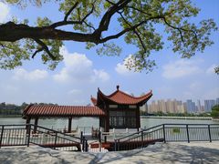 -武汉动物园