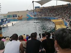 -秦皇岛乐岛海洋王国