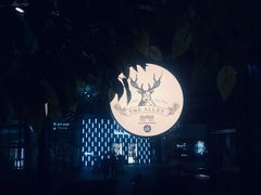 -THE ALLEY 鹿角巷(华润万象城店)