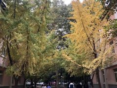 -陕西师范大学(雁塔校区)