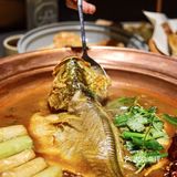 你知道深业上城新宠美食吗？就在这里
