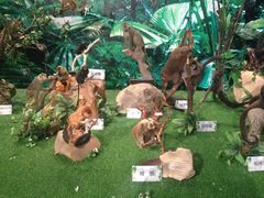 iphone_upload_pic-重庆科技馆