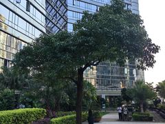 -威克健身游泳(万菱汇店)