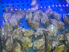 -韩食味·小木屋(日照店)