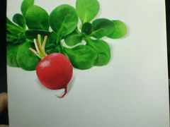 -德国汉莎航空公司