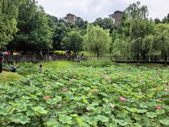 -沐仙湖湿地公园