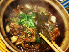 甲鱼煲-金龙·打边炉(武进路店)