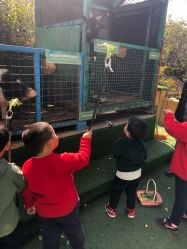 -可可天空农场(中大店)