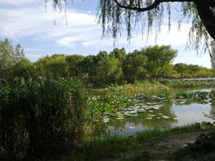 -新江湾城公园