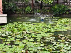 -东江渔村·古典园林·30年粤菜老字号(太和店)