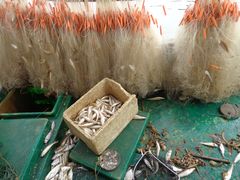 -海上驿站渔家菜馆