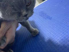 -佳雯宠物医院(金华南路分院)