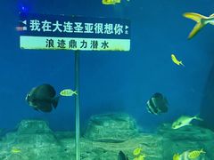 -大连圣亚海洋世界