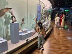 -陕西自然博物馆