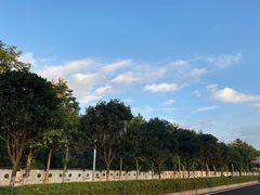 -重庆海昌加勒比海水世界