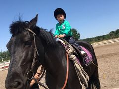 -月河湾马术俱乐部(朝阳店)