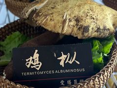 -爱膳菌锅锅(阳南店)