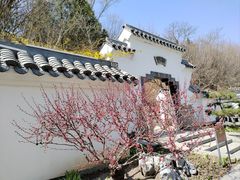 -北宫国家森林公园