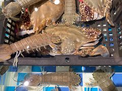 皮皮虾-醉湘厨艺(才华街店)