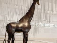 -德基艺术博物馆