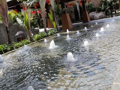-海南椰子鸡餐厅(三亚湾红树林店)