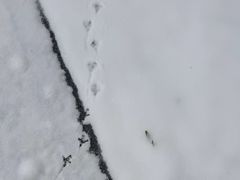 -钟山体育运动公园