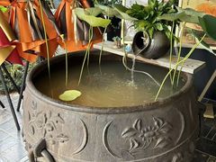 -东湖34号餐厅·湖北菜