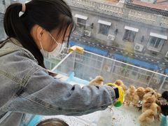 -怪兽屋·羊驼·猫咖·狗咖(俊华广场店)