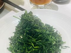 红果枸杞苗-清真·宁夏印象·盐池滩羊肉体验店(江宁路店)