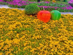 -咸阳湖景区-统一广场