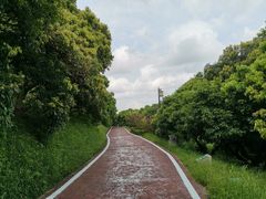 -大屏嶂森林公园